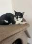 Oskar_Frieda (3)